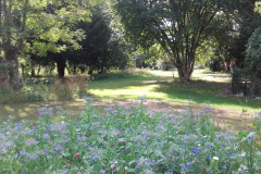 Massiflore-sept-3