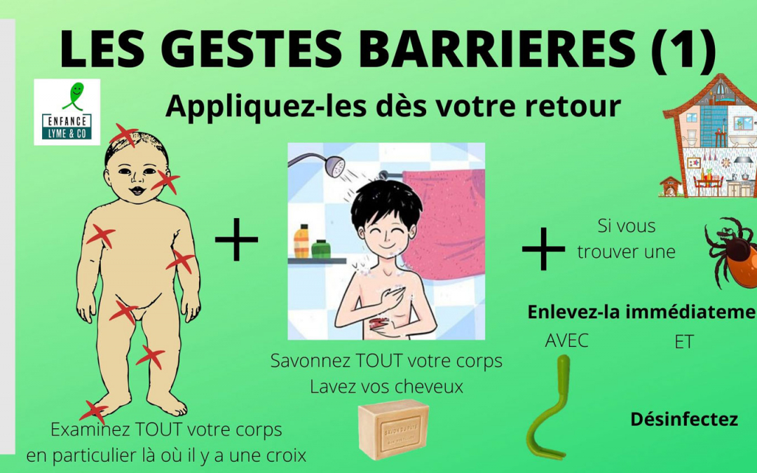 Tiques ! Soyez sur vos gardes…