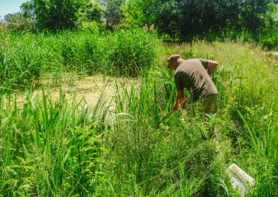 Fête de la mare au parc des Moulins