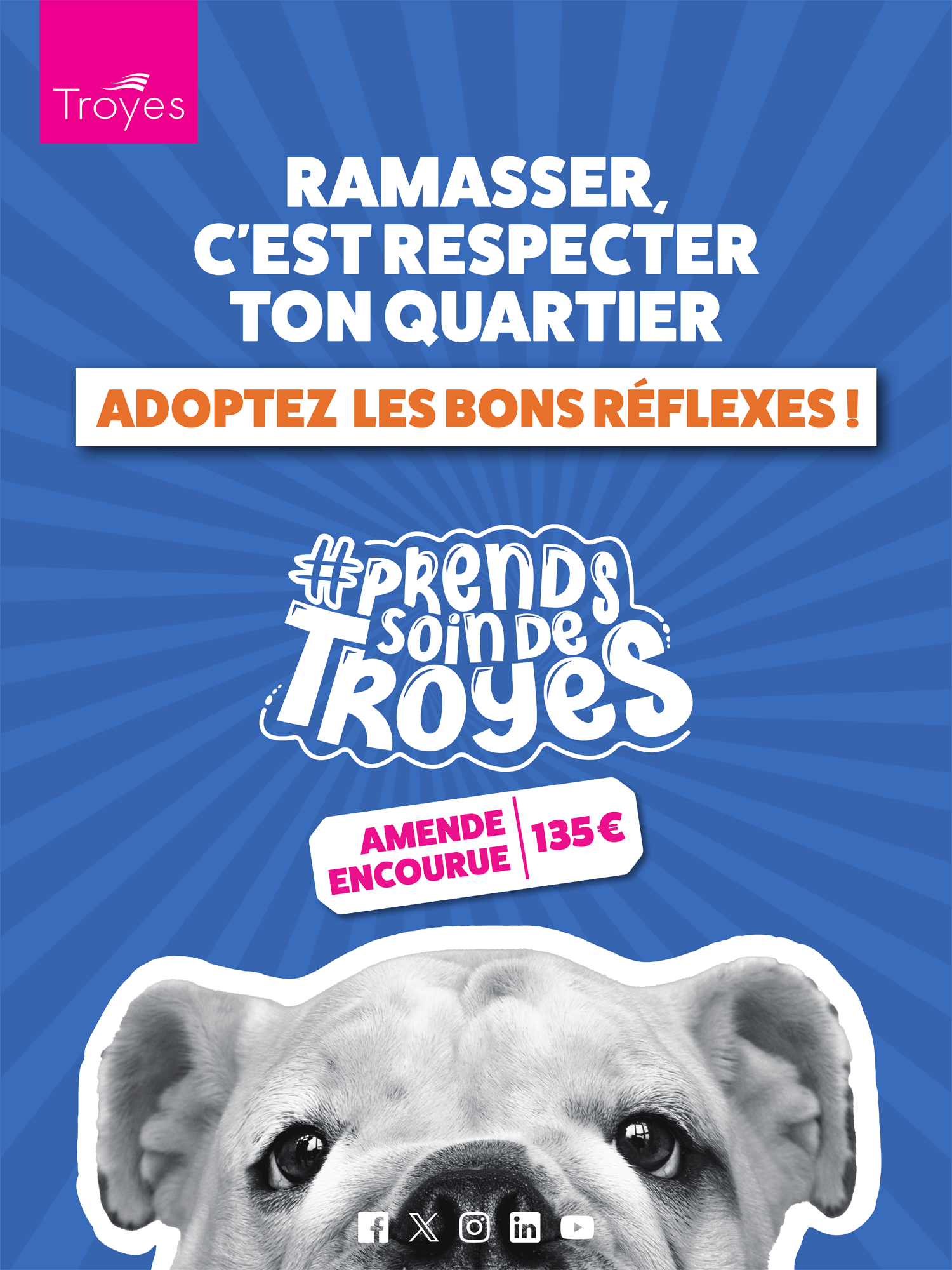 Affiche Prends soin de Troyes - déjections canines