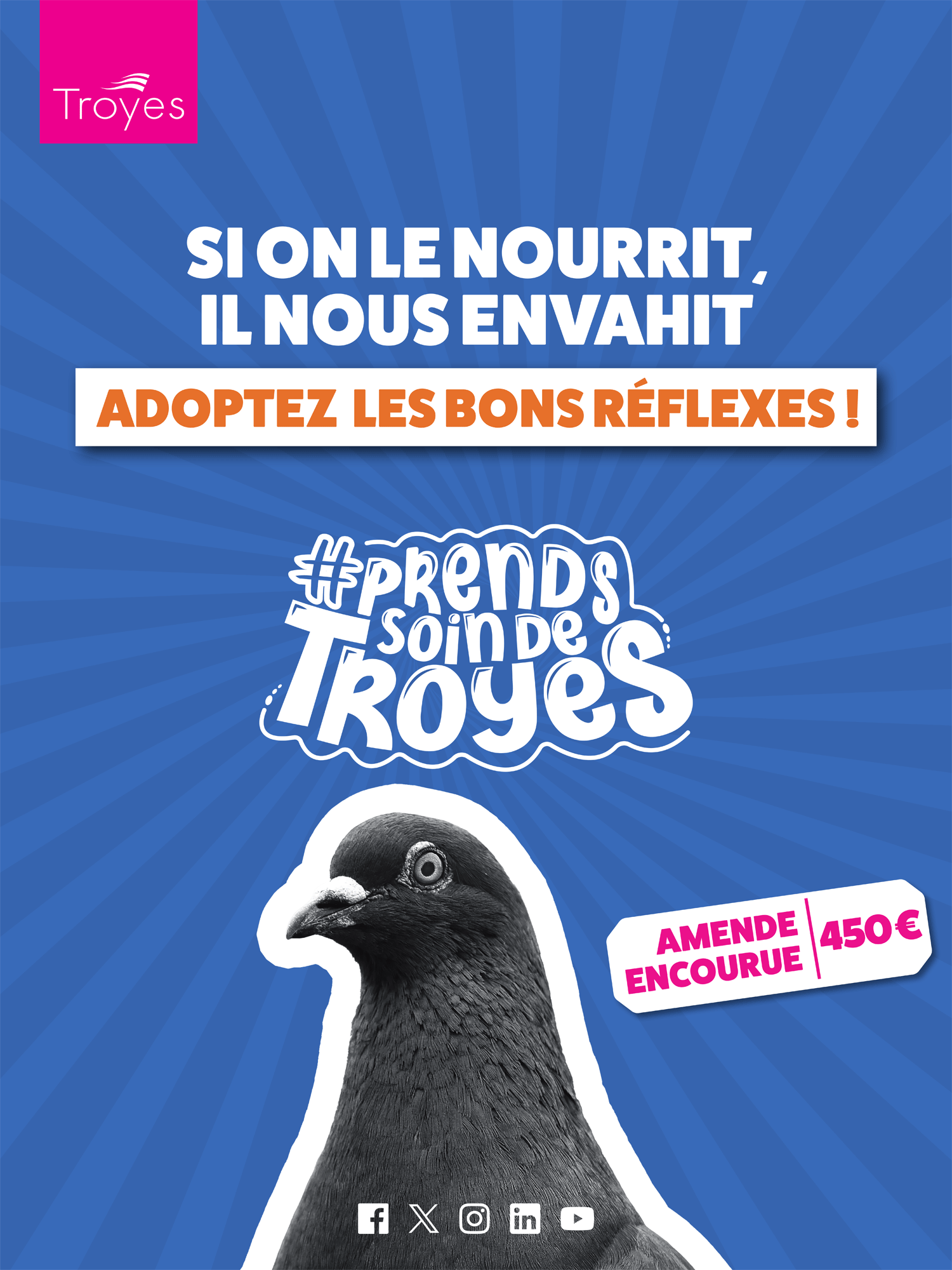 Affiche Prends soin de Troyes - pigeons