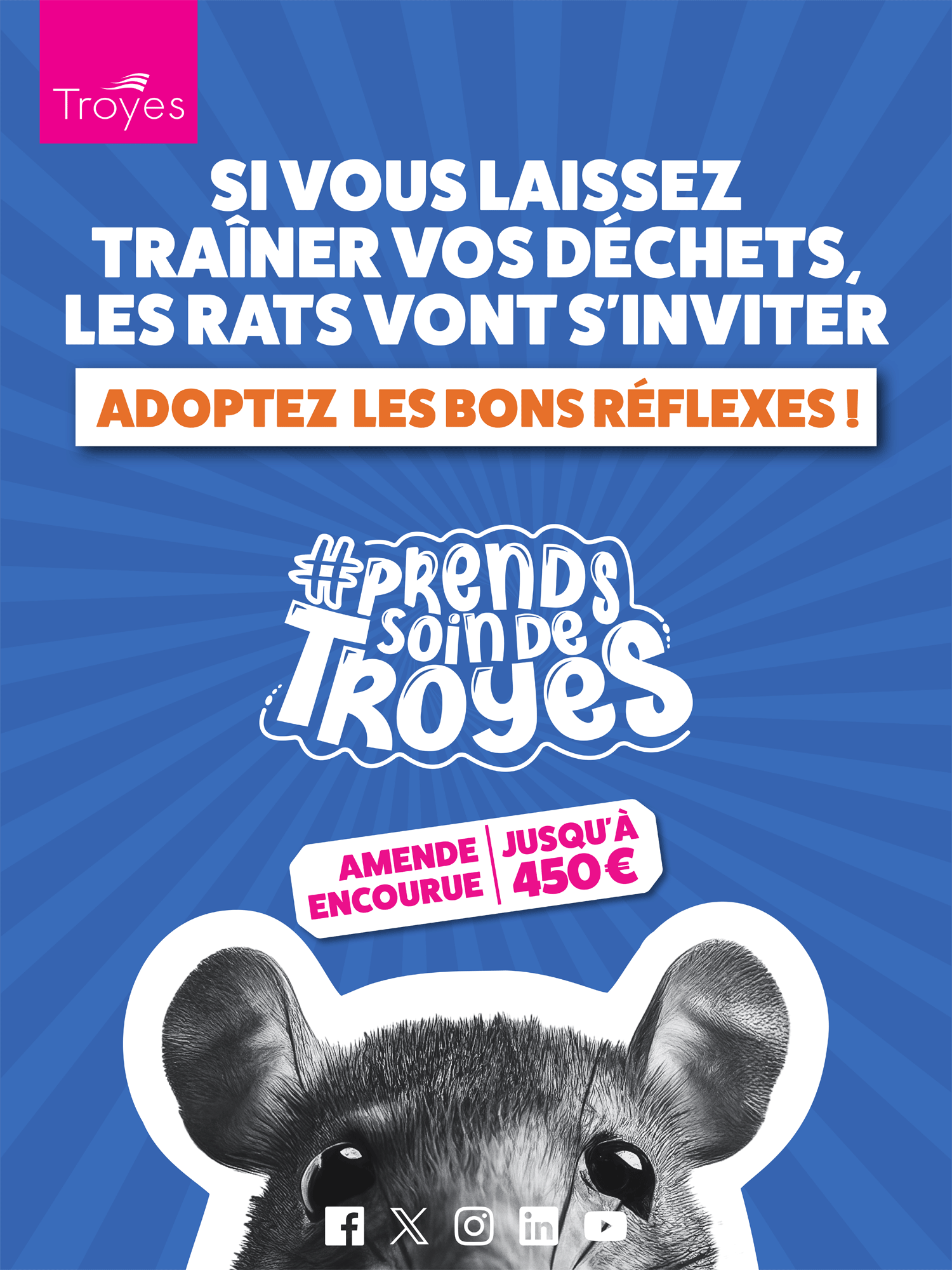 Affiche Prends soin de Troyes - rats