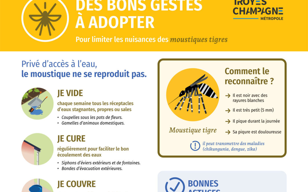 Moustique tigre : adoptons les bons gestes au quotidien
