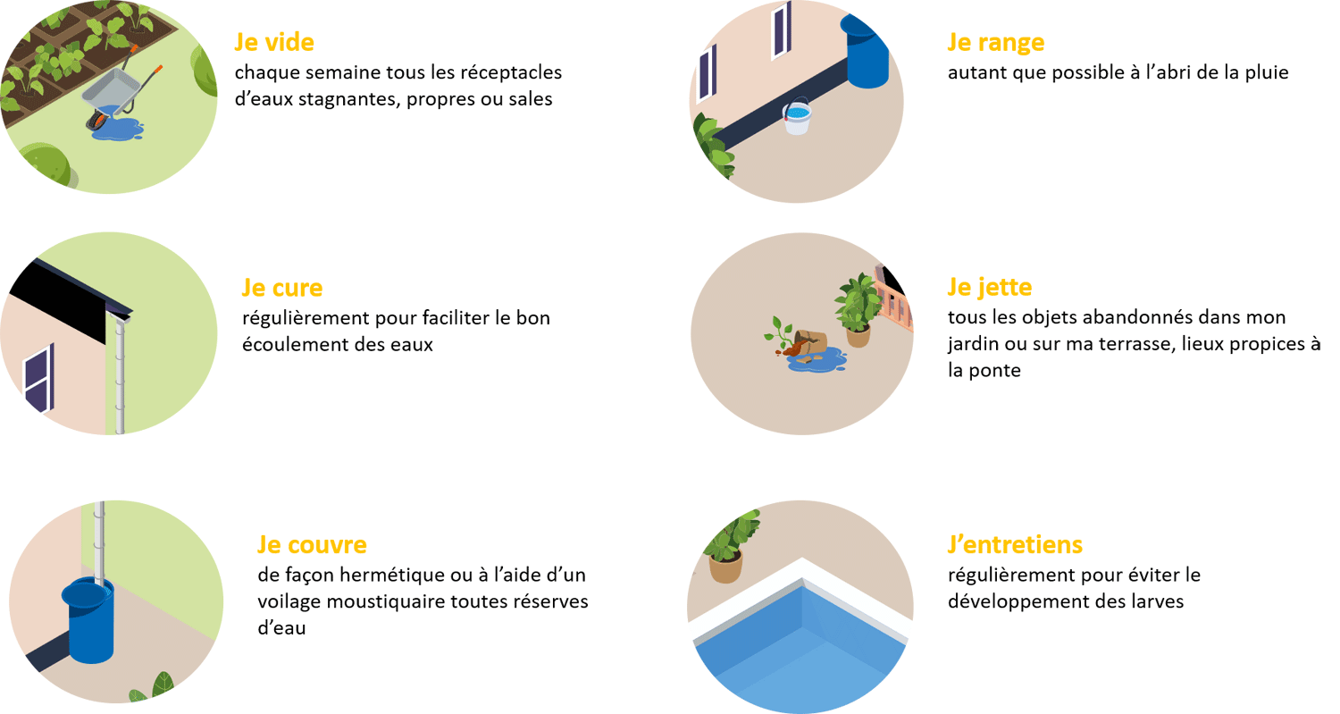 Consignes pour limiter la présence du moustique tigre